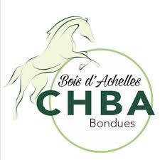 Logo BONDUES BOIS D ACHELLES